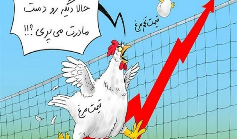 سبقت از راست تخممرغ در شانه گرانی/دست تنظیم بازاریها به دُمِ مرغ هم نرسید!