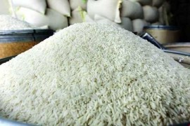 برنج بورس نشین شد و شالیکار خانه نشین/ شالیها روی دست ماند