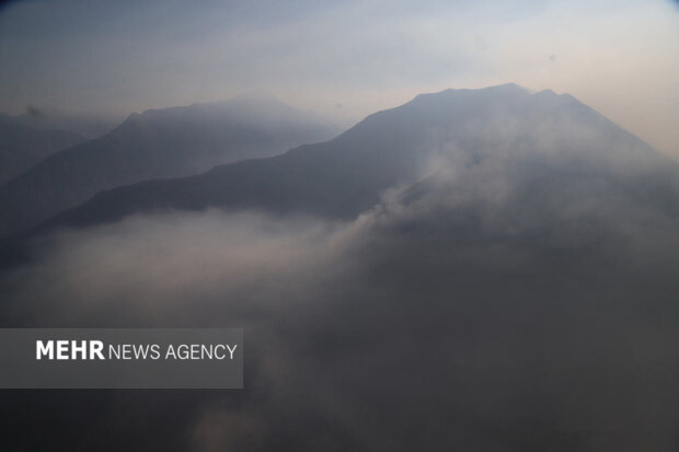 آتش‌سوزی به ۱۰ هکتار از جنگل‌های الیت چالوس خسارت زد